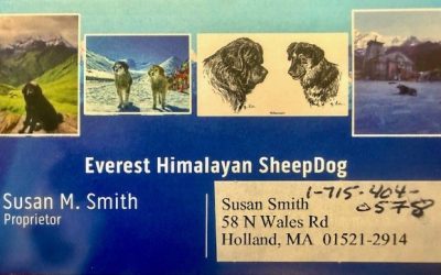 Smith, Susan